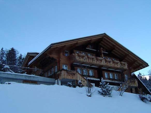 Chalet Spinne Γκρίντελβαλντ Εξωτερικό φωτογραφία